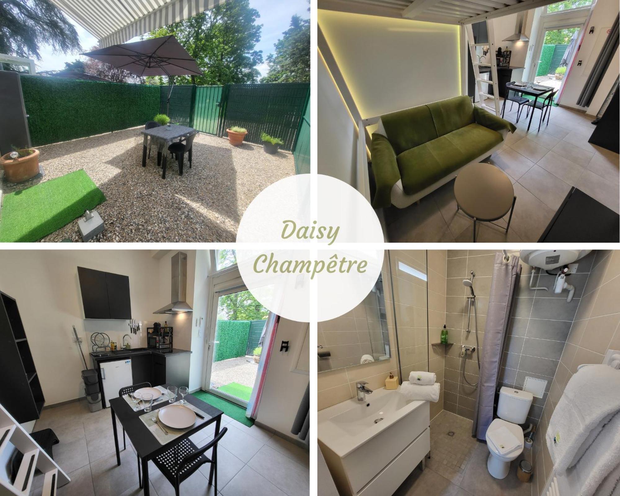 Appartement Daisy Champetre #Terrasse #Clim #Parking à Irigny Extérieur photo